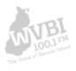 logo_WVBI_gry
