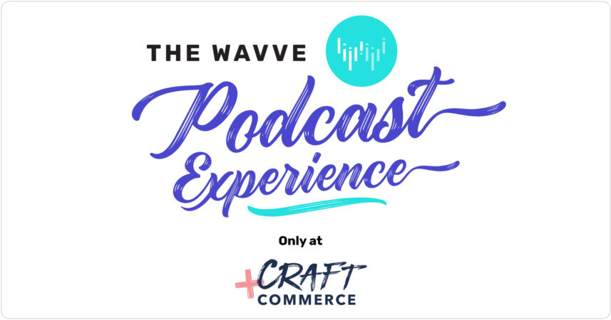 The Wavve Podcast Experience